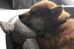 received_933169480391174