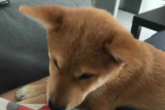 received_937805069913625