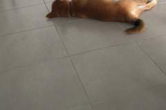 received_953617054976578