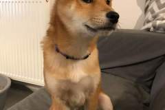 received_996507260690346