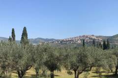 received_513892616103383