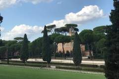 received_479976685933831