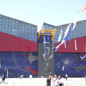 Osaka – Aquarium Kaiyukan